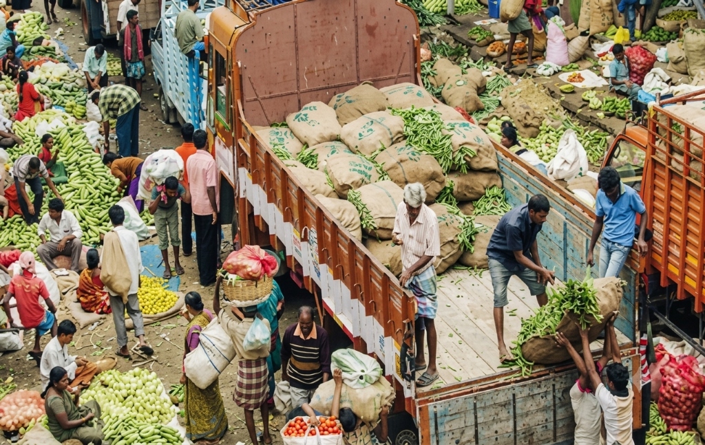Farming & Mandis